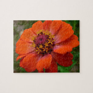 Quebra-cabeça Zínia Laranja Flor de Natureza Floral