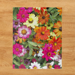 Quebra-cabeça Zinnia Flower Garden Floral