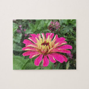 Quebra-cabeça ZINNIA - Rosa e Creme Vibrantes -