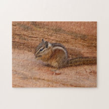 Zion Chipmunk em Rochas Vermelhas