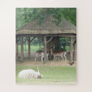 Quebra-cabeça Zoo Quebra-cabeça: Animais em Deerpark