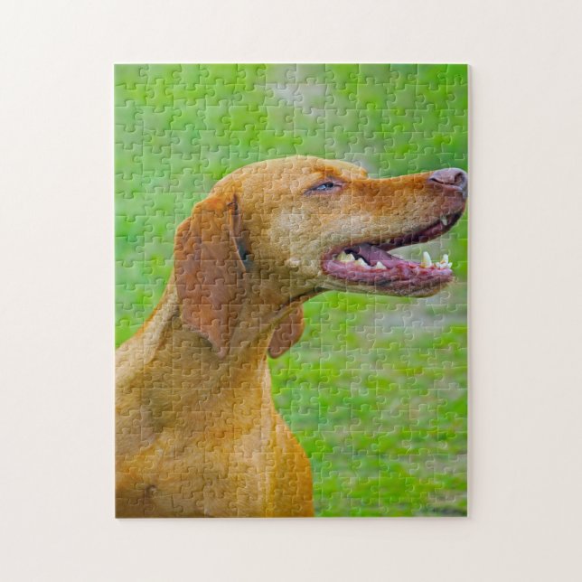 Quebra-cabeças de Cachorro Vizsla. (Vertical)