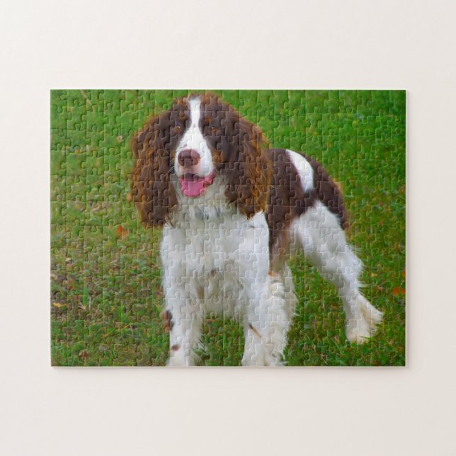 Quebra-cabeças de Cães Springer Spaniel. (Horizontal)