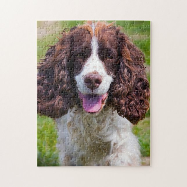 Quebra-cabeças de Cães Springer Spaniel. (Vertical)