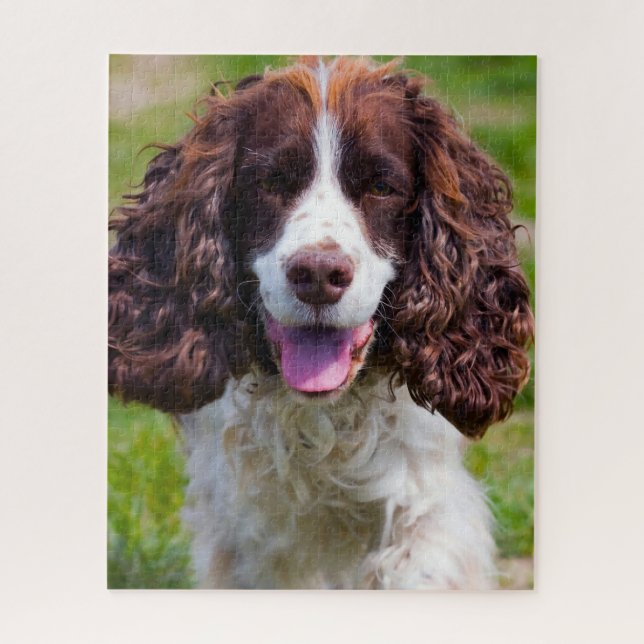 Quebra-cabeças de Cães Springer Spaniel. (Vertical)