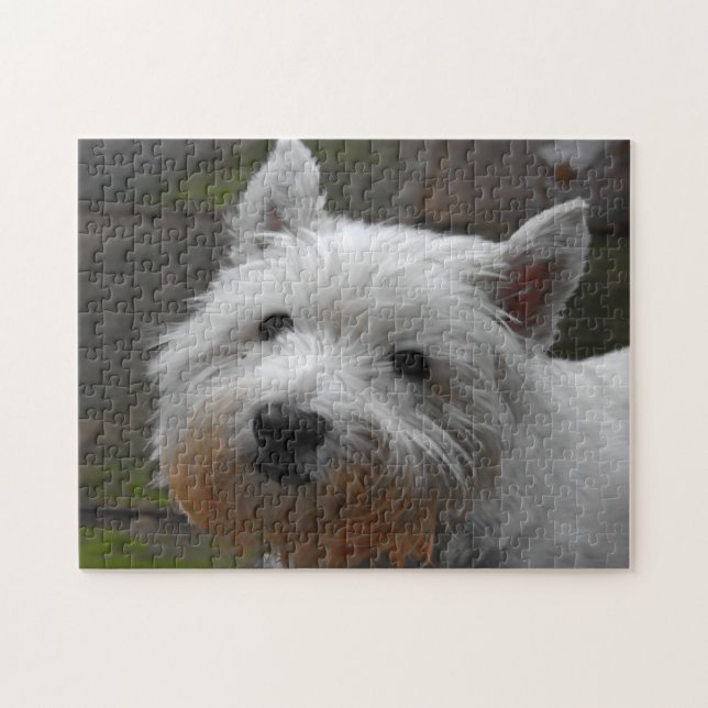 Quebra-cabeças de Cães Westie. (Horizontal)