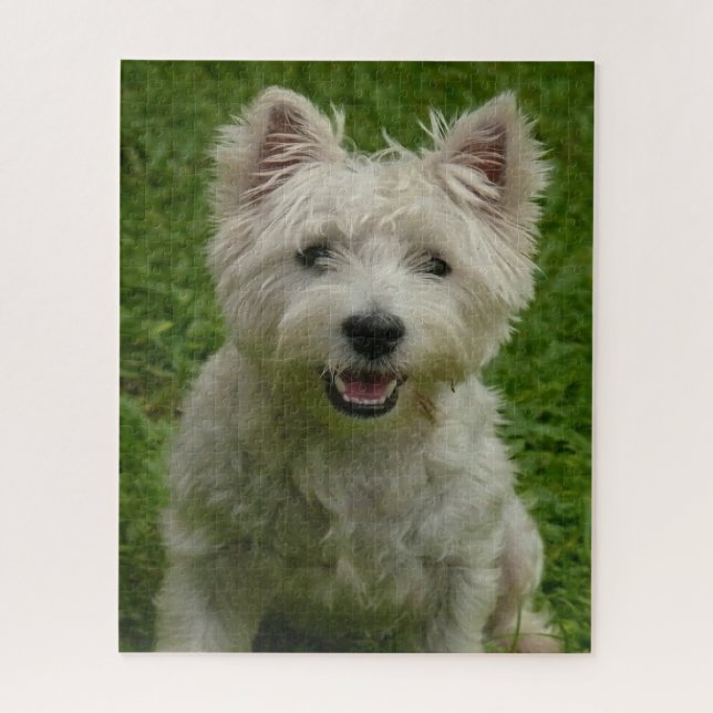 Quebra-cabeças de Cães Westie. (Vertical)