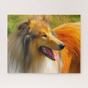 Quebra-cabeças do Cão Collie áspero.