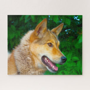 Quebra-cabeças do Cão Laika.