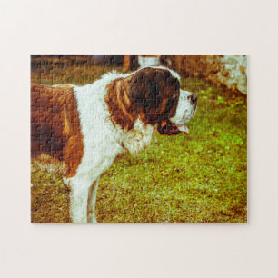 Quebra-cabeças do cão São Bernardo.