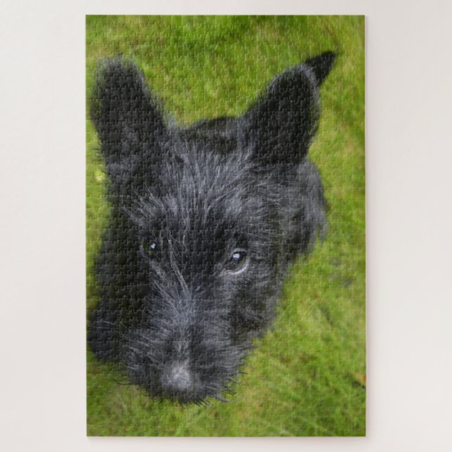 Quebra-cabeças do Terrier Escocês. (Vertical)
