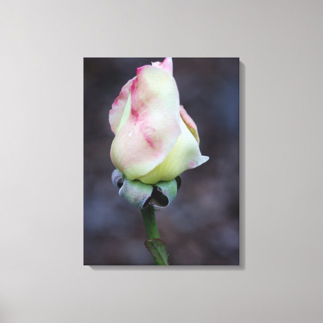 Quebra de Canvas rosa (Frente)