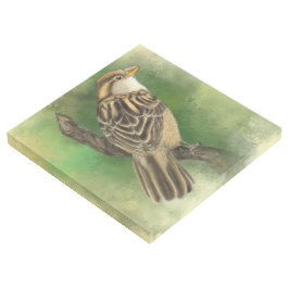 Quebra de Galeria de Sparrow - Pintura