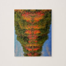 Queda bonita no quebra-cabeça de Nova Inglaterra