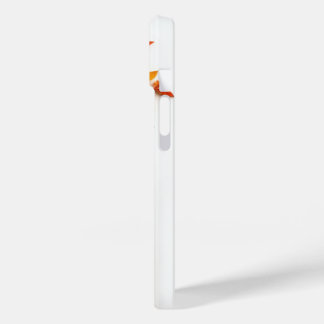 Queda | Folhas e Abóboras