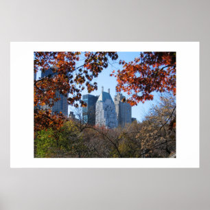QUEDA no poster da fotografia do CENTRAL PARK NYC