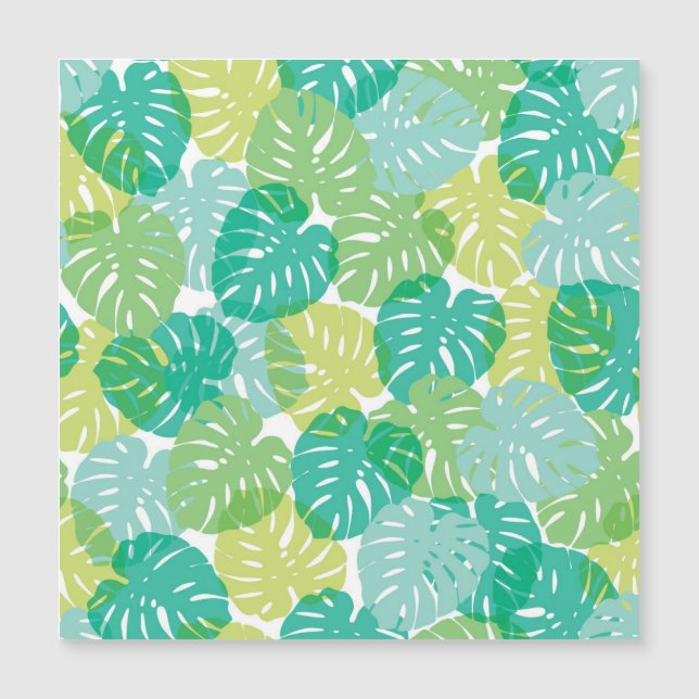 Queijo exótico: Monstera tropical (Frente)