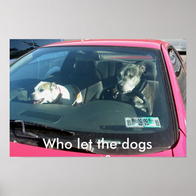 Quem deixou os cachorros saírem? Poster (Frente)
