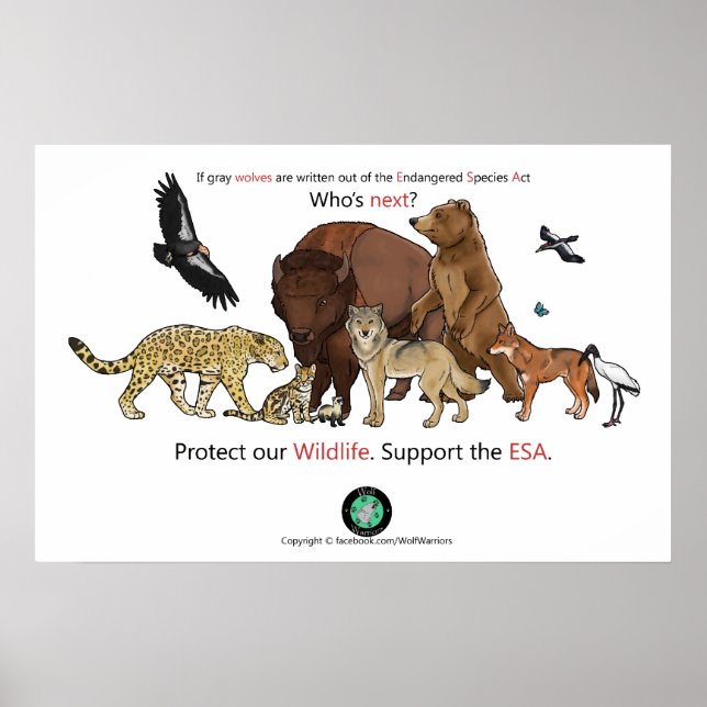 Quem é o próximo Poster (Frente)