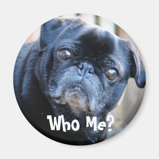 Quem Eu? Íman (Frente)