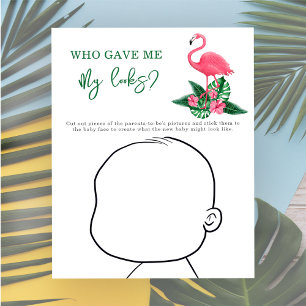 Quem me deu minha aparência? - Flamingo Rosa