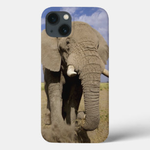 Quênia: Parque Nacional de Amboseli, elefante mach