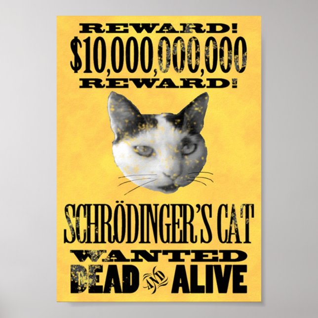 QUERIA A poster DE GATO DE SCHRODINGER (Frente)