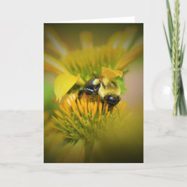 Querida Bebê no Coneflower, cartão