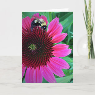 Querida Bebê no Coneflower, cartão