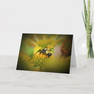 Querida Bebê no Coneflower, cartão