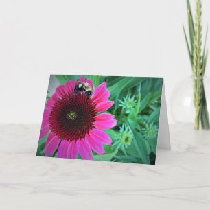 Querida Bebê no Coneflower, cartão