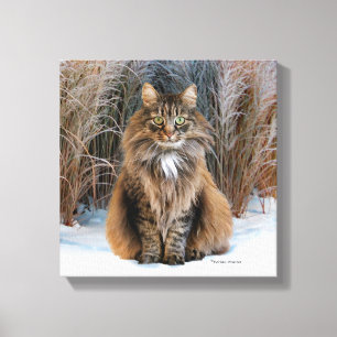 "Querida Prudência" Canvas Wall Art