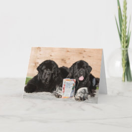 Querido cartão de bebê de boas-vindas com terras n