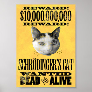 QUERIDO: Poster do CAT de SCHRODINGER