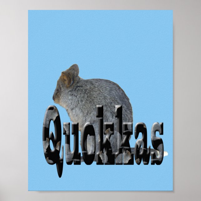 Quokka Australiano É O Nome, Poster (Frente)