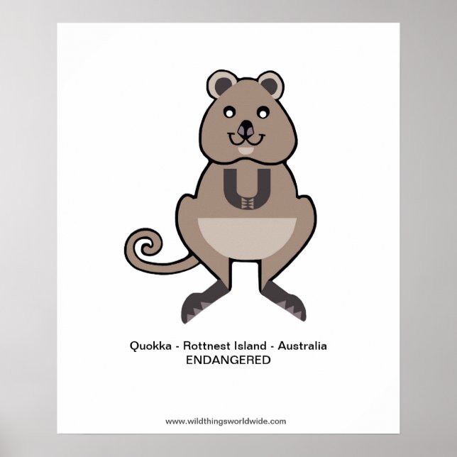 Quokka - poster (Frente)