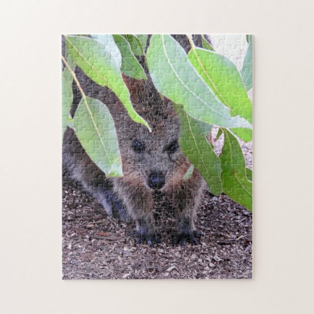 Quokka Quebra-cabeça (Vertical)