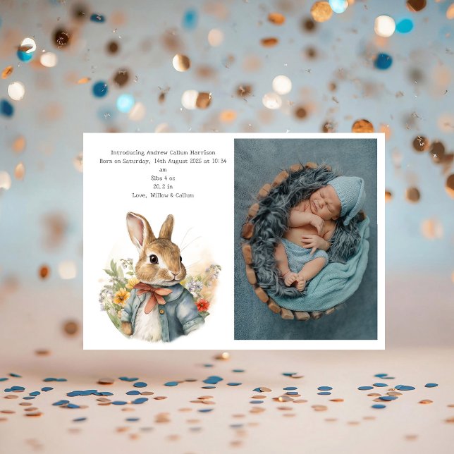 Rabbit Peter (Criador carregado)