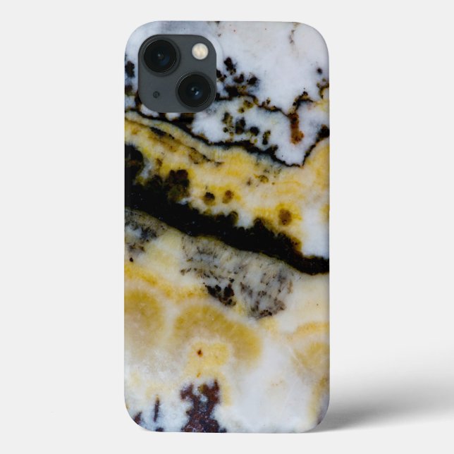 Raça de Prata Onyx (Verso)