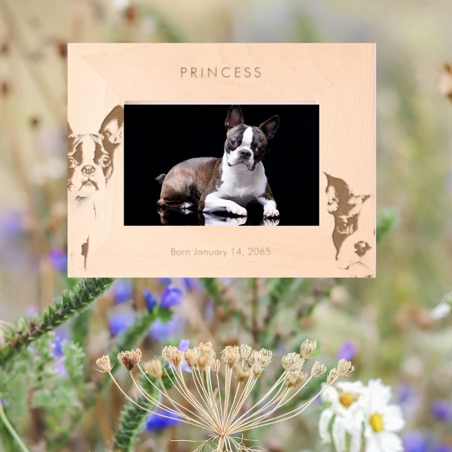 Raça Personalizada de Cães (Criador carregado)