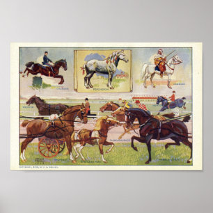 Raças 1912 do impressão do cavalo do vintage