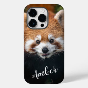 Raccoon