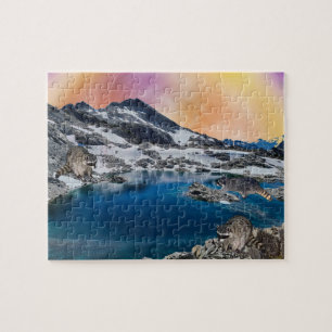 Raccoons aproveitando a Quebra-cabeça do dia do se