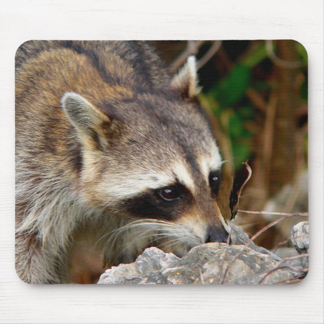 Racoon Mousepad (Frente)