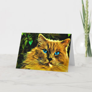 Ragdoll Cat, cartão