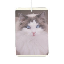 Ragdoll Cat Foto personalizada Freshener