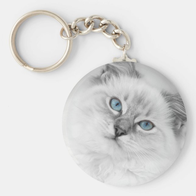 ragdoll chaveiro (Frente)