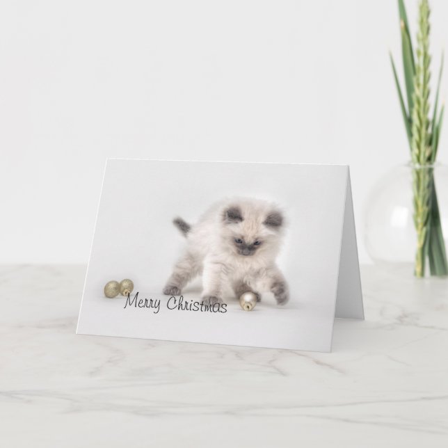 Ragdoll kitten Cartão de Natal (Frente)