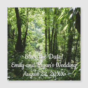 Rain Forest II Tropical Verde