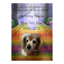 Rainbow Bridge Pet Memorial - Na memória Poster